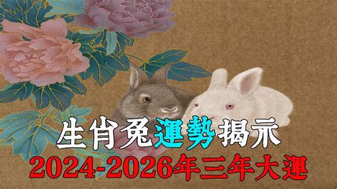 2024生肖兔運勢|生肖兔: 性格，愛情，2024運勢，生肖1987，1999，2011